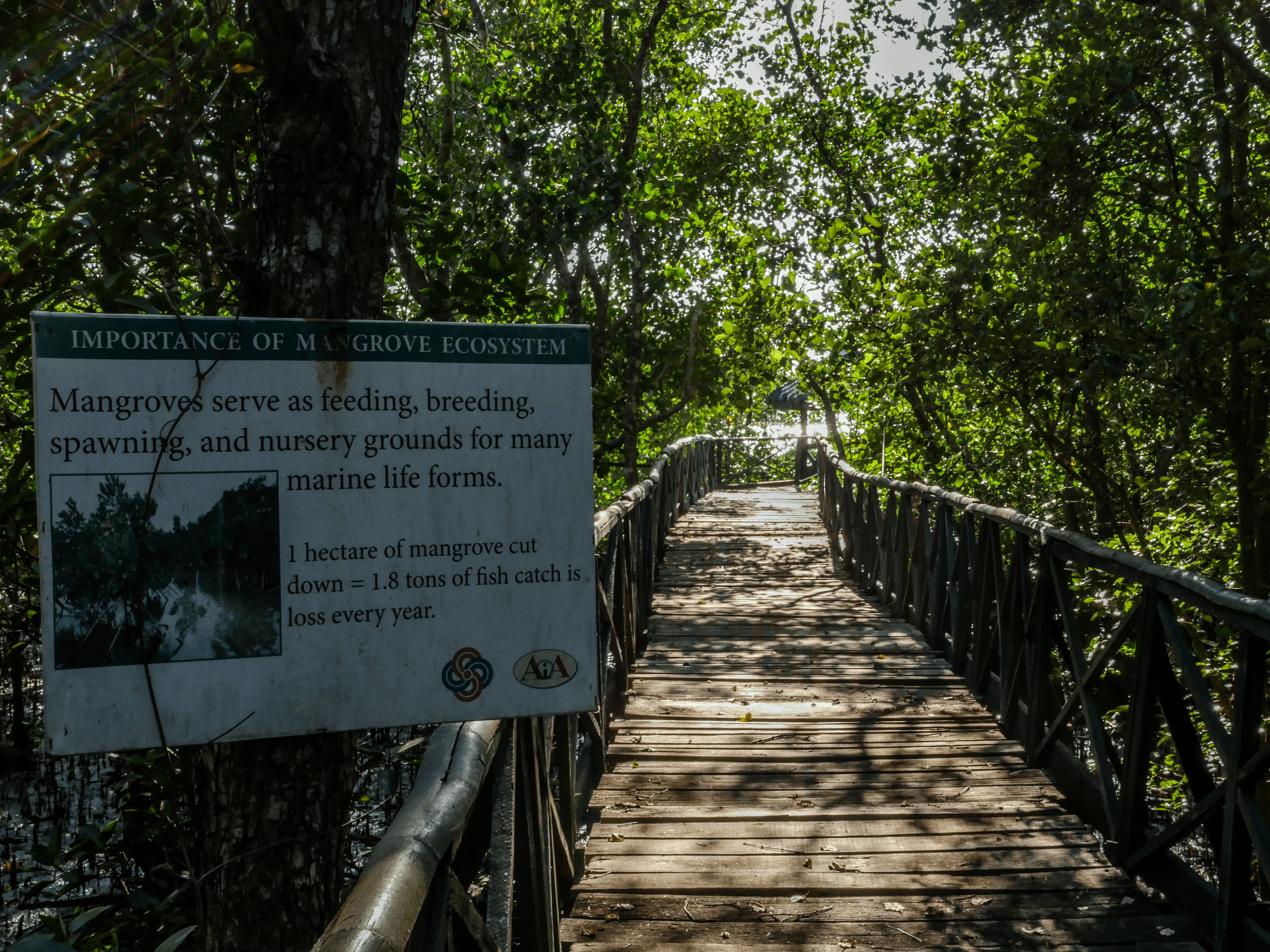 sign plat with description and pathway in triboa bay mangrove park in subic zambales philippines